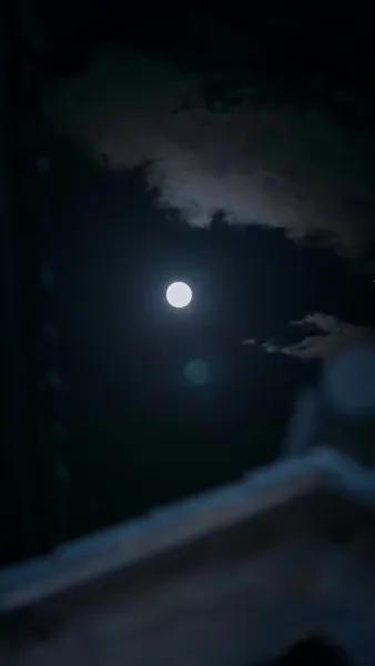 เล่ห์กลแห่งวังหลัง