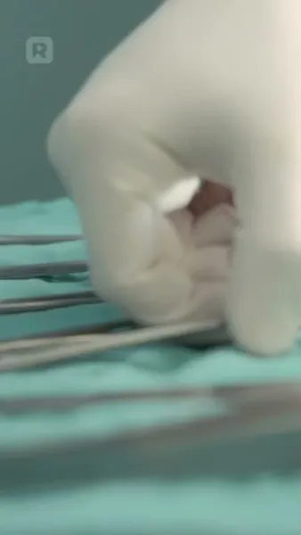 ที่รัก แค่บอกว่าใช่!