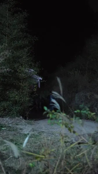 ตัวแทนศัตรูของท่านอ๋อง