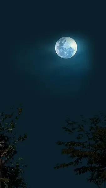 ลวงรัก องค์ชายตาบอด