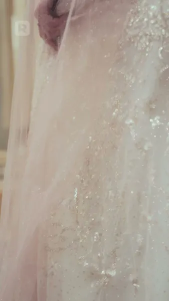 องค์หญิงอัลฟ่าทวงบัลลังก์