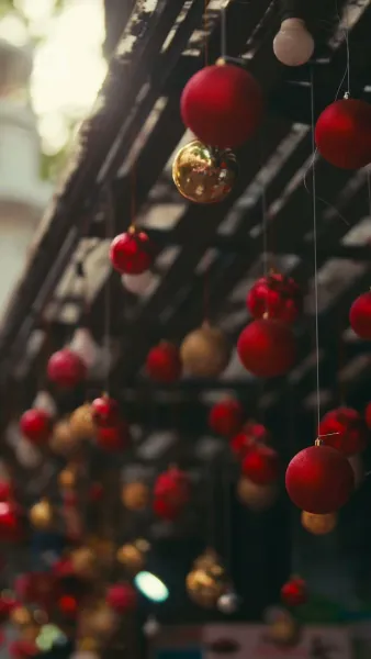 องค์หญิงอัลฟ่าทวงบัลลังก์