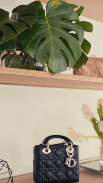 องค์หญิงอัลฟ่าทวงบัลลังก์