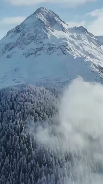 แด๊ดดี้หมาป่ามาเคาะประตู