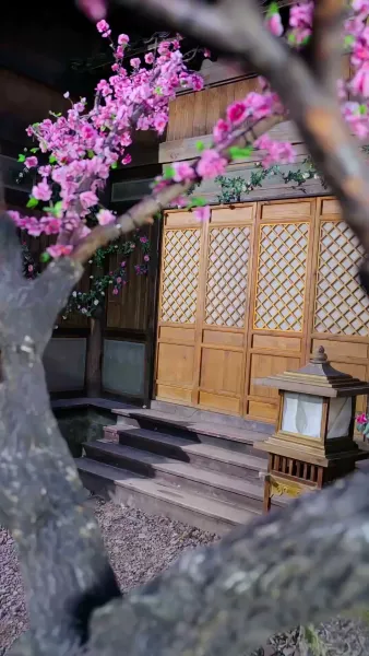 ทะลุมิติมาสะสมรัก ภาค 2(พากย์ไทย)