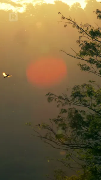 เกิดใหม่สู่พันธะราชา