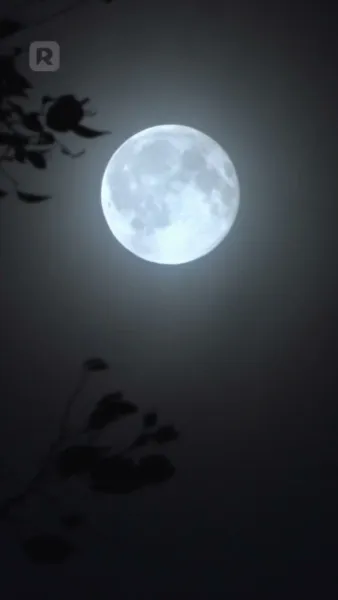 ย้อนเวลาเพื่อรักเขาก่อนใคร