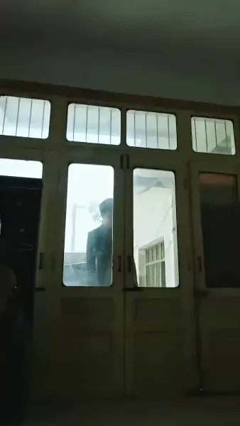 ห้าแฝดหรรษาตามหาป่าปี๊