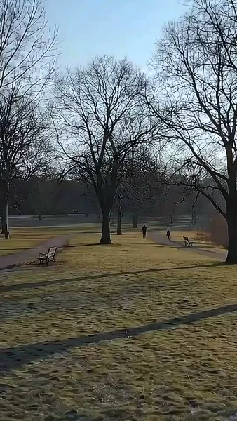 เมตาเลิฟ