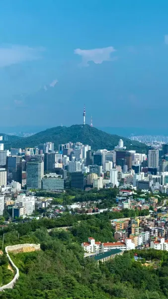 เมตาเลิฟ