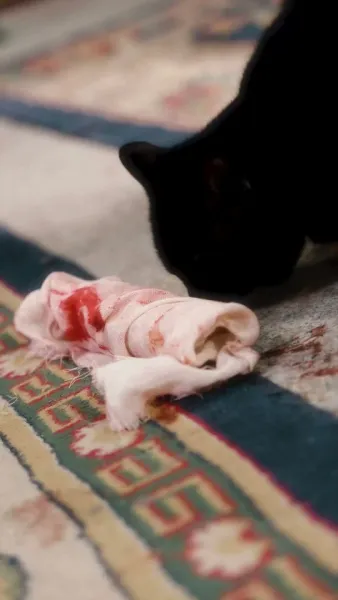  เสน่ห์ลวงใจ ใต้เงาบัลลังก์