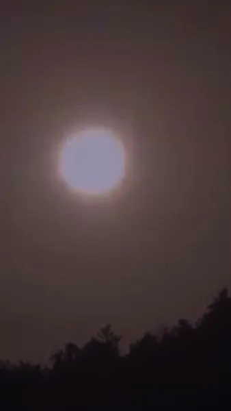  เสน่ห์ลวงใจ ใต้เงาบัลลังก์