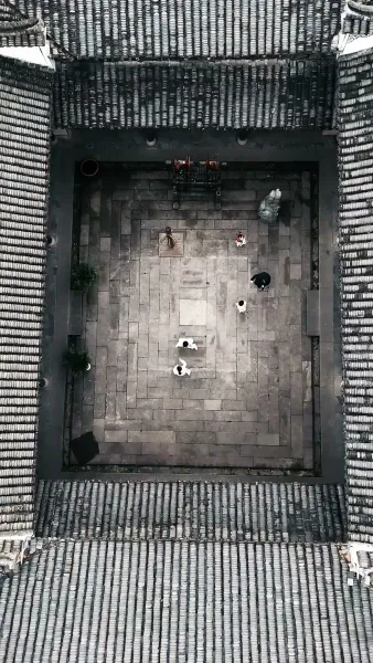 สู้เพื่อตามหาพ่อ