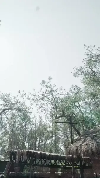 ชาวบ้านอันดับหนึ่ง