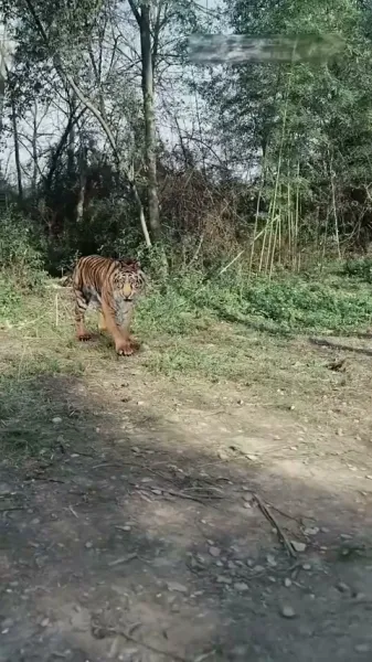 ชาวบ้านอันดับหนึ่ง