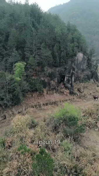 รักข้ามแคว้น แดนคนละฟ้า