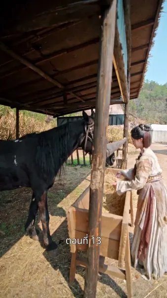 รักข้ามแคว้น แดนคนละฟ้า