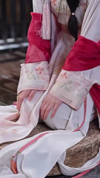 พี่สะใภ้หนุนข้าสู่ความรุ่งโรจน์