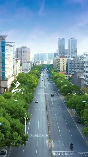 วิวาห์สลับรัก