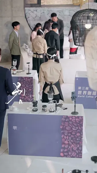 วิวาห์สลับรัก