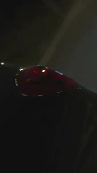 คุณชายสิบขวบ แต่เป็นบรรพบุรุษ