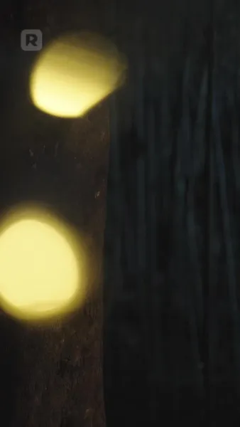 รักร้าย