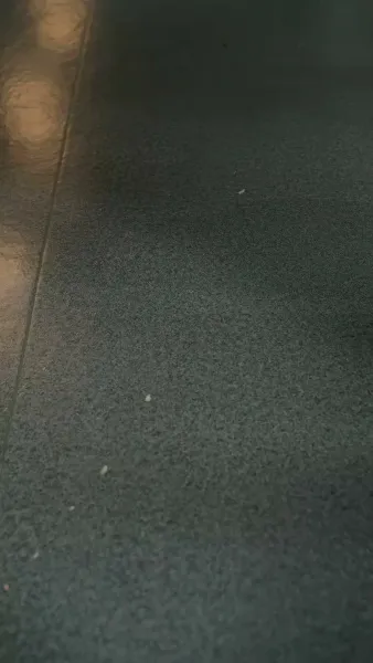 เกมรักอันตราย(พากย์ไทย)