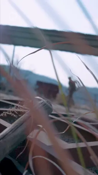 เธอคือทุกอย่างของฉัน