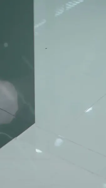 อุ้ยตาย! ได้ท่านประธาน/มาเป็นหวานใจ