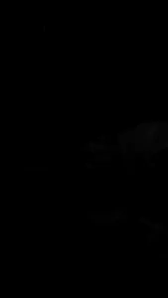 เรื่องย่อแสงแห่งวันใหม่