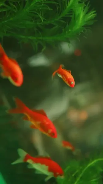 เรื่องย่อแสงแห่งวันใหม่