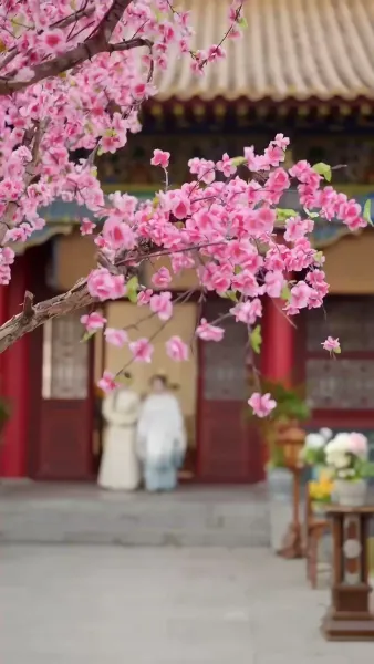 ข้าไม่อยากยุ่ง เรื่องในวัง