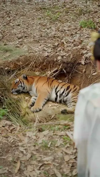 ข้าไม่อยากยุ่ง เรื่องในวัง