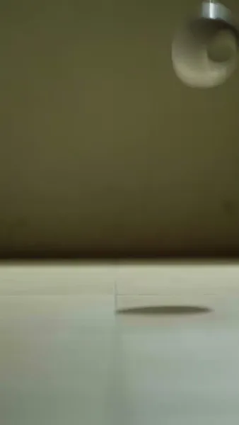 พิชิตใจยัยหนูตัวร้าย