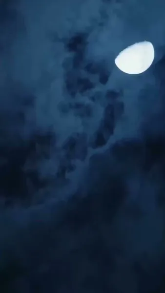 รักลับซ่อนใจ