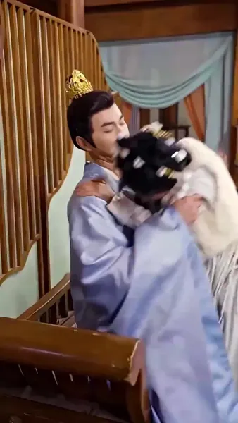 พระชายาวังเย็นผู้เก่งกาจ