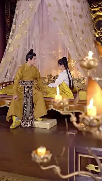 พระชายาวังเย็นผู้เก่งกาจ