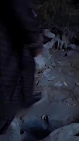 พระชายาวังเย็นผู้เก่งกาจ