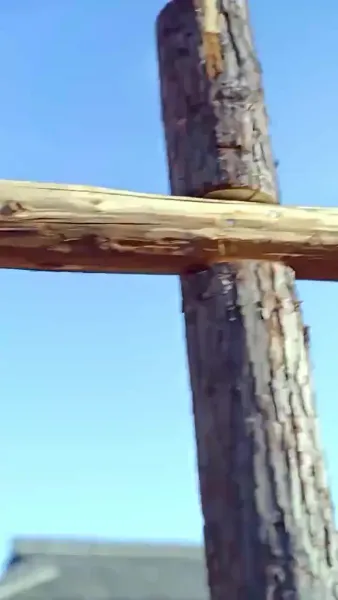 พระชายาวังเย็นผู้เก่งกาจ