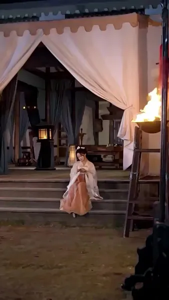 พระชายาวังเย็นผู้เก่งกาจ