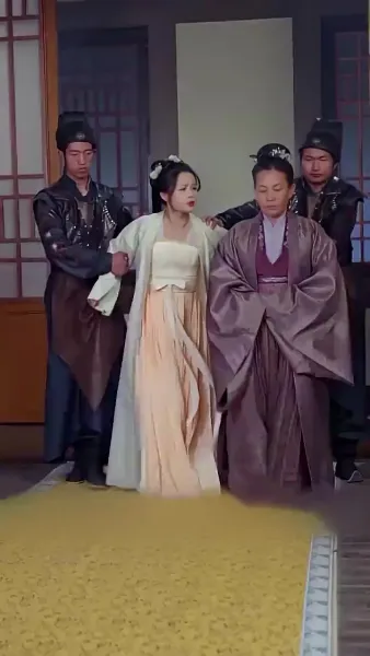 พระชายาวังเย็นผู้เก่งกาจ