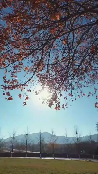 แผนล้างแค้นของเจ้าหญิง