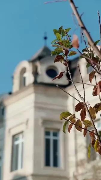 แผนล้างแค้นของเจ้าหญิง