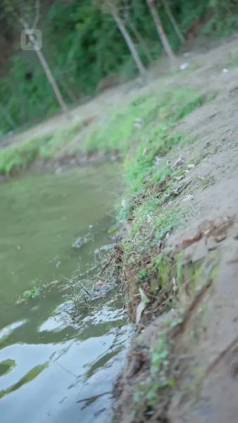 เกิดใหม่เป็นปลา ทำนักตกปลาแทบร้อง