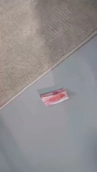 แสงจันทร์สีขาวกลับมามีชีวิตอีกครั้ง