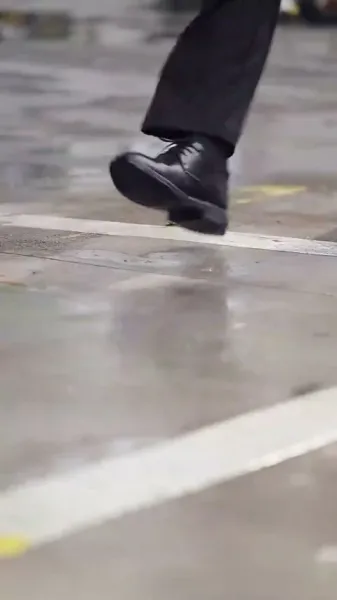 แสงจันทร์สีขาวกลับมามีชีวิตอีกครั้ง