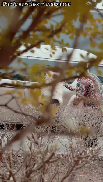 [พากย์ไทย]แหวกฟ้า มาบอกรักคุณ