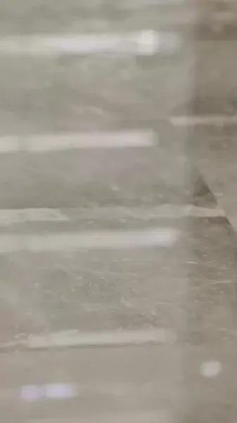 ราชินีแห่งการหลอกลวง