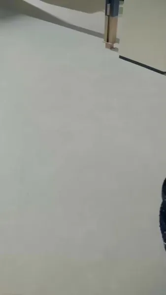 ราชินีแห่งการหลอกลวง