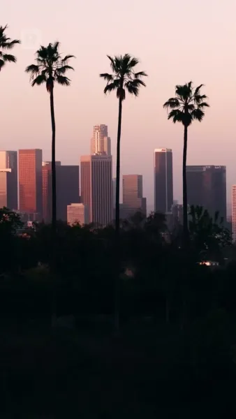 สัญญาหวานกับบอสมาเฟีย